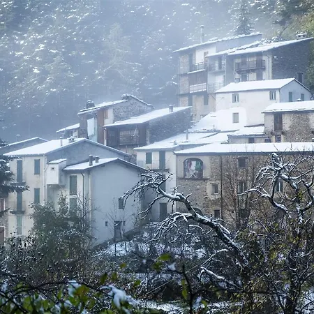 Carmeli - Primula Feriehus