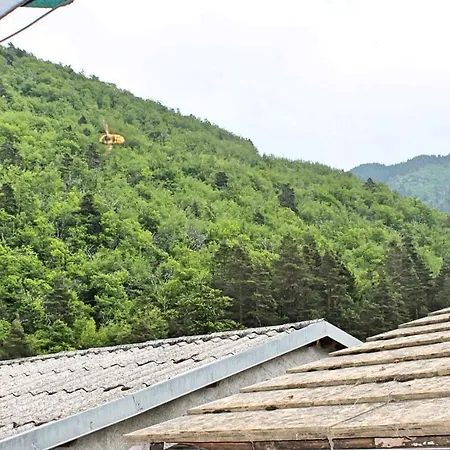 Carmeli - Primula トリオーラ