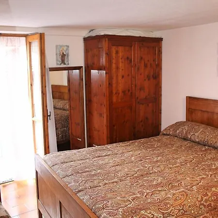 Carmeli - Primula * トリオーラ