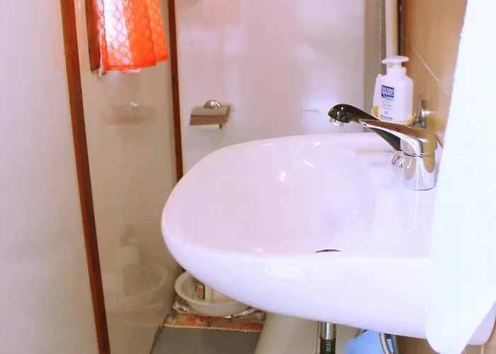 Carmeli - Primula Triora